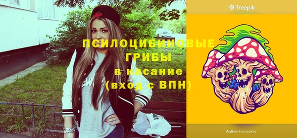 a pvp Алексин