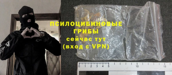 apvp Алзамай