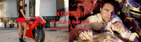 apvp Алзамай