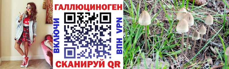Галлюциногенные грибы мицелий Чайковский