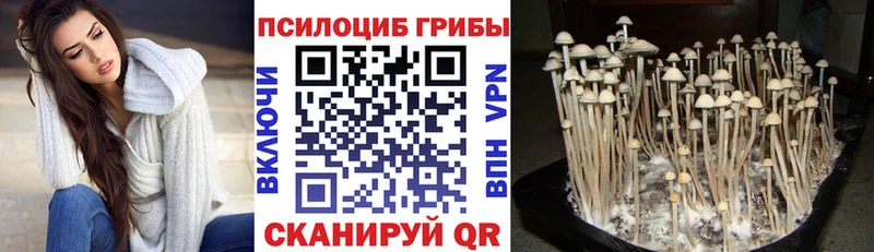 Галлюциногенные грибы Magic Shrooms  Чайковский 