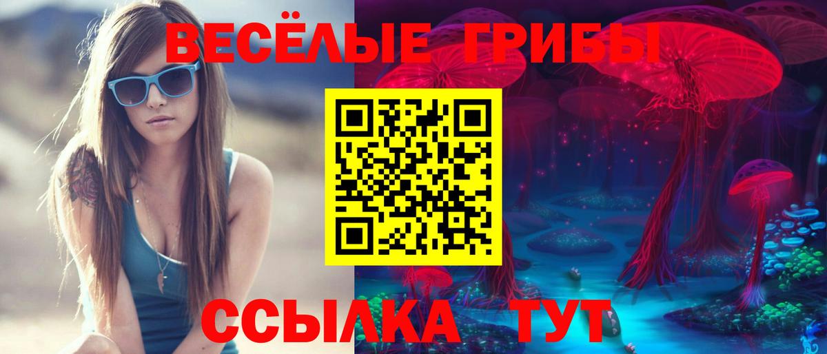Чайковский  Псилоцибиновые грибы Cubensis  Вход с VPN 